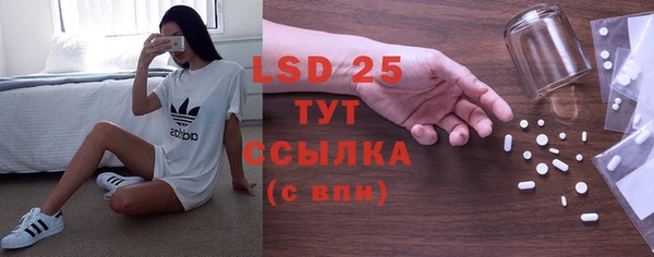 стафф Новокубанск