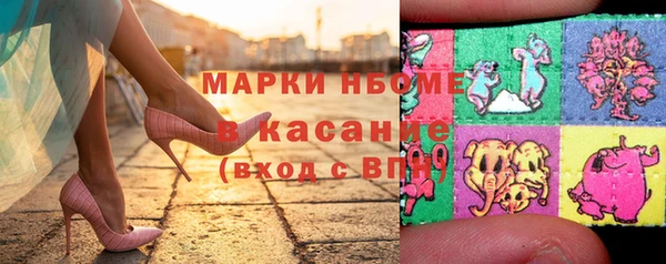 стафф Новокубанск